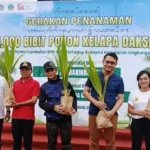 Seribu Bibit Kelapa Daksina untuk Bali: Sinergi Perbarindo Jaga Budaya dan Lingkungan