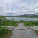 DPD Perbarindo Bali Rencanakan Penanaman 1.000 Pohon Kelapa Daksina di Kawasan Tukad Unda Klungkung